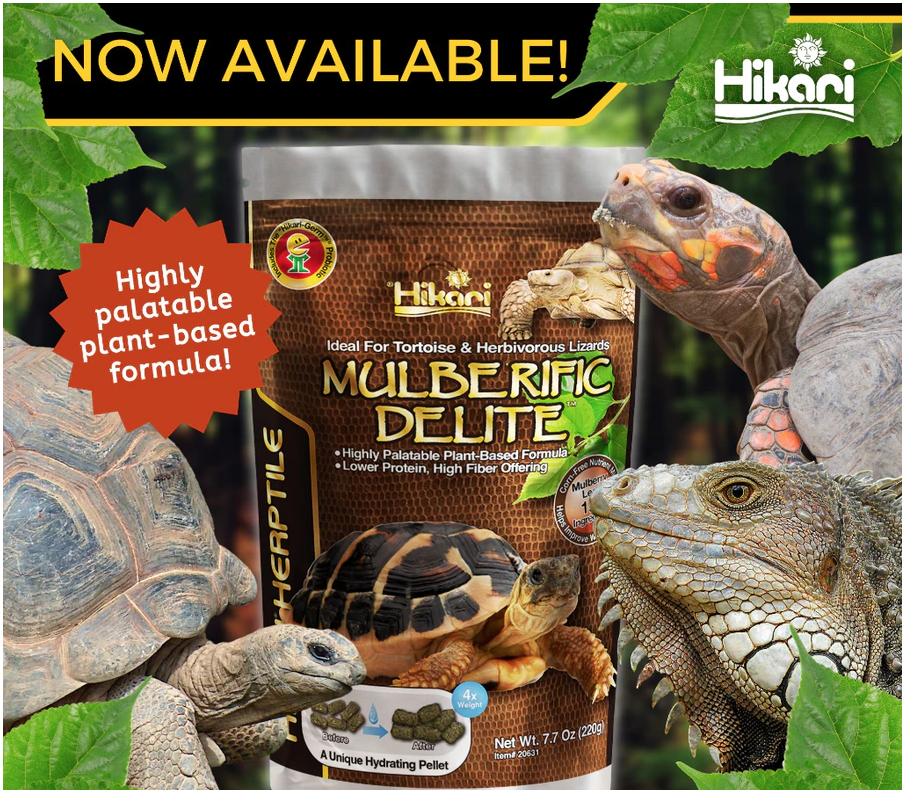 Hikari Mulberific Delite Tortoise Food 220 grams - Ideal For Tortoise Herbivorous Lizards HK2063 