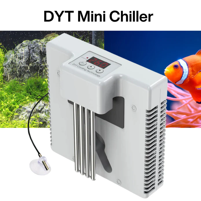 DYT Mini Chiller for up to 30L No Installation needed